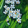 F_006_Waterviolet_40x50_OST
