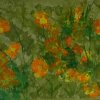 F_027_Primavera1_90x60_AST